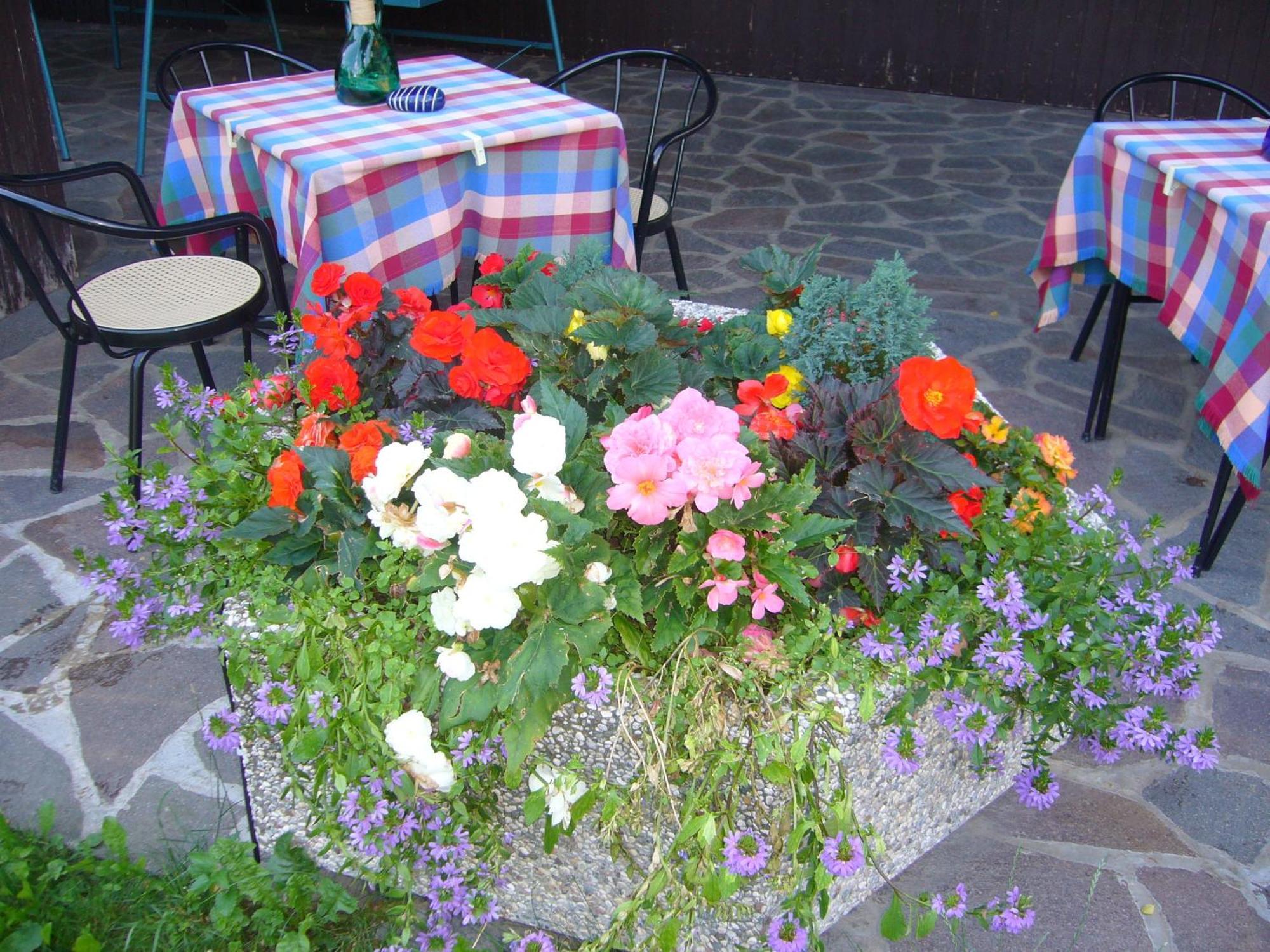 Hotel Gasthof Wastl Апиано сула Страда дел Вино Екстериор снимка